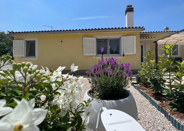 House Roca アパート ヴォディツェ