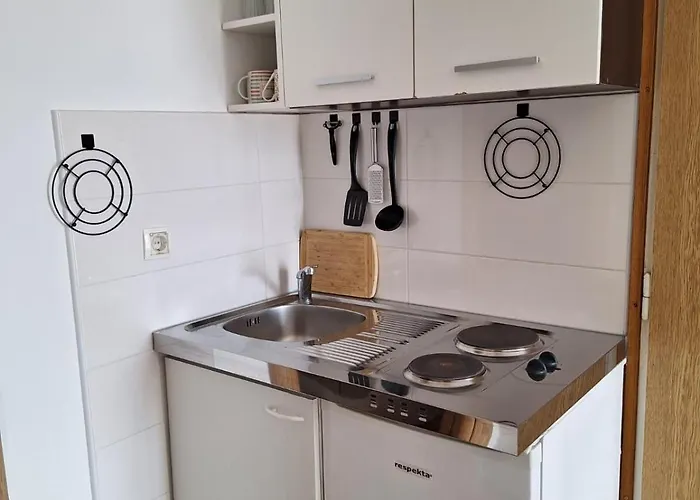 House Roca アパート ヴォディツェ